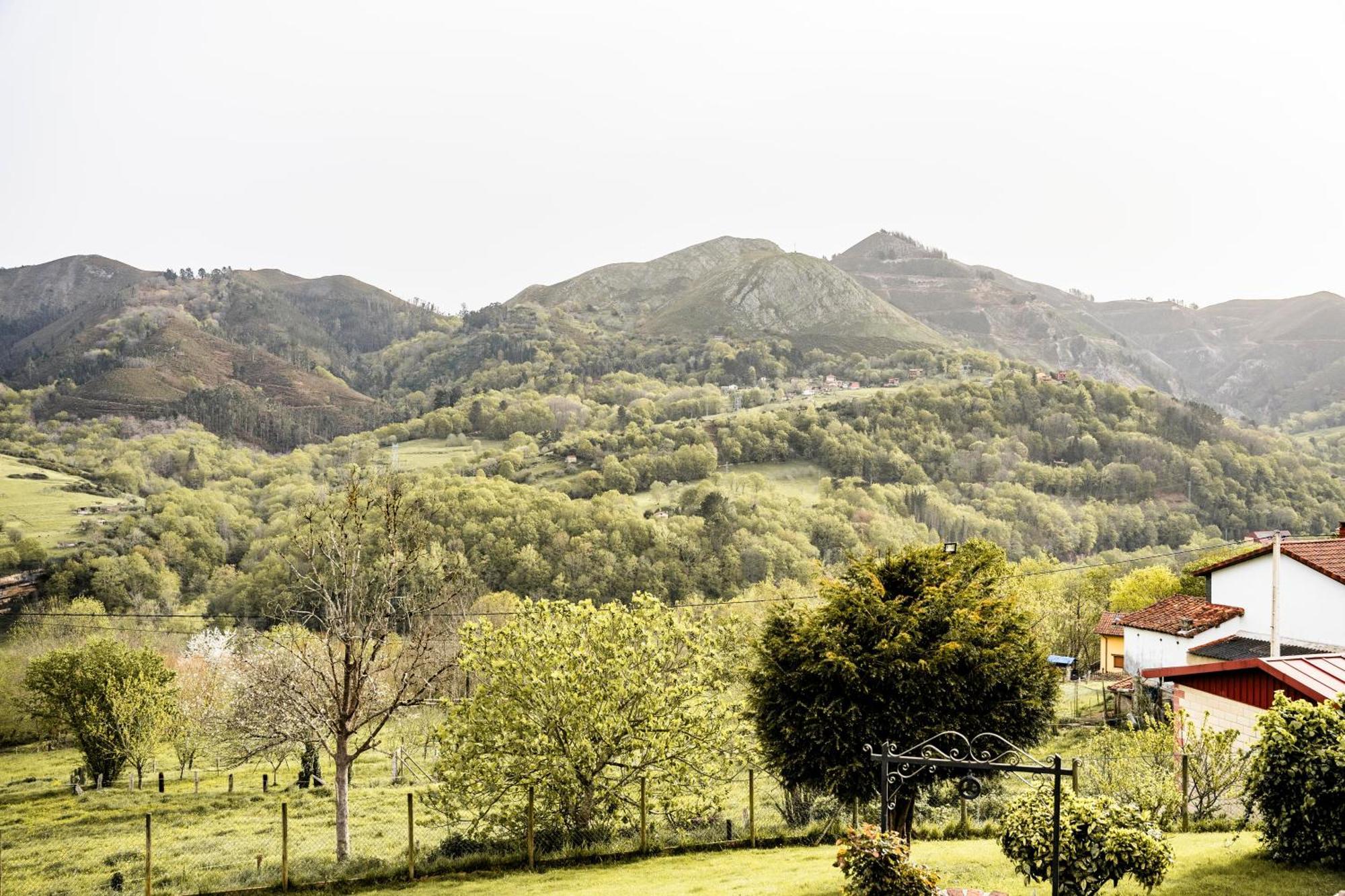 Apartment De Buena Vista Cangas de Onis