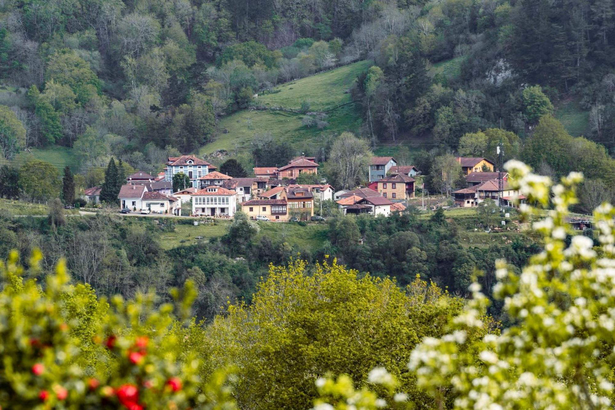 Apartment De Buena Vista Cangas de Onis